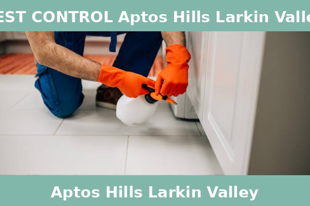 PEST CONTROL Aptos Hills Larkin Valley